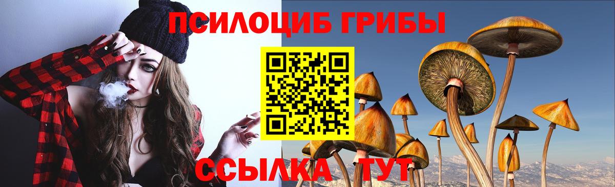 Псилоцибиновые грибы Psilocybine cubensis Копейск